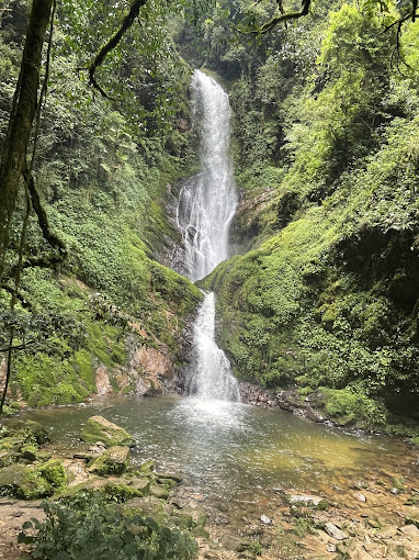 Nyungwe National Park - Chimpanzee Trek